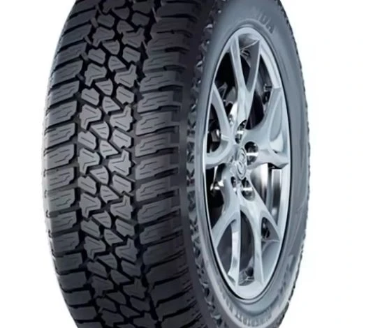 Passenger Car Rubber Tires